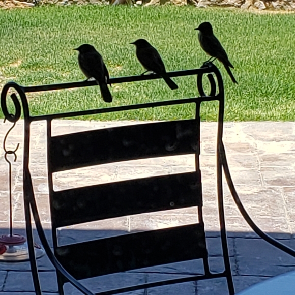 Hi there! - Picture 7 of 14